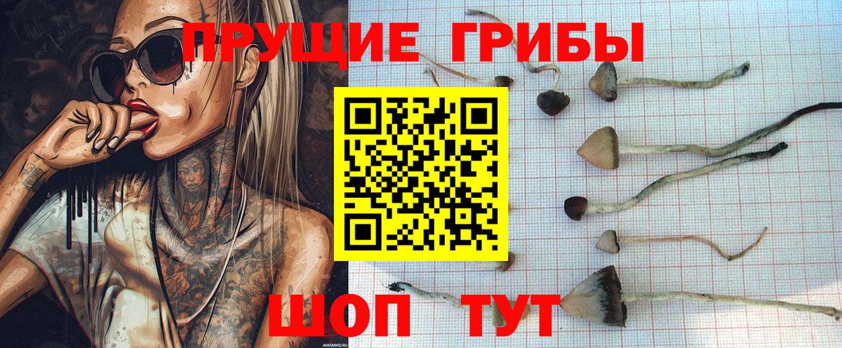 Псилоцибиновые грибы мицелий  Вход с VPN  Добрянка 